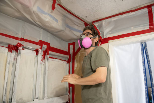 Professional Mold Removal in Aliceville, AL