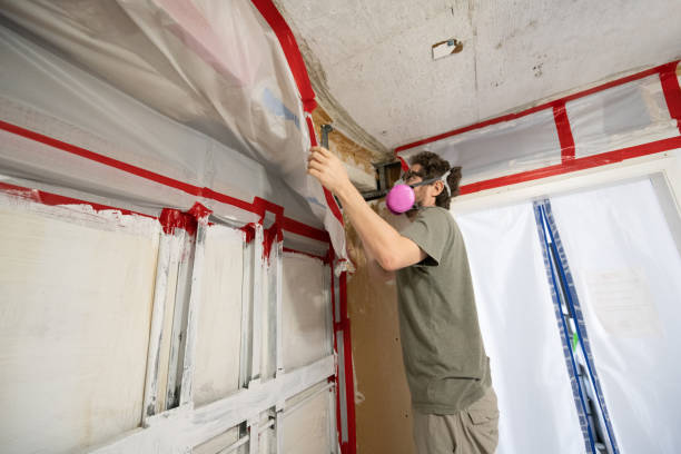 Best Attic Mold Removal  in Iceville, AL