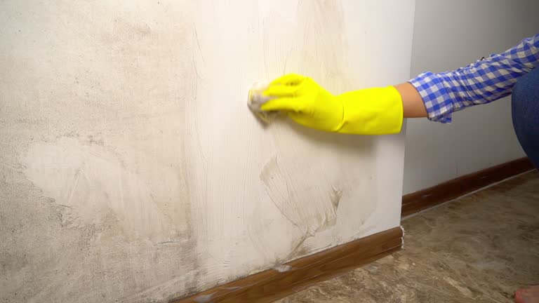 Best Air Quality Testing for Mold Spores  in Iceville, AL