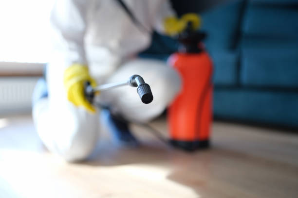 Aliceville, AL Mold Removal Company